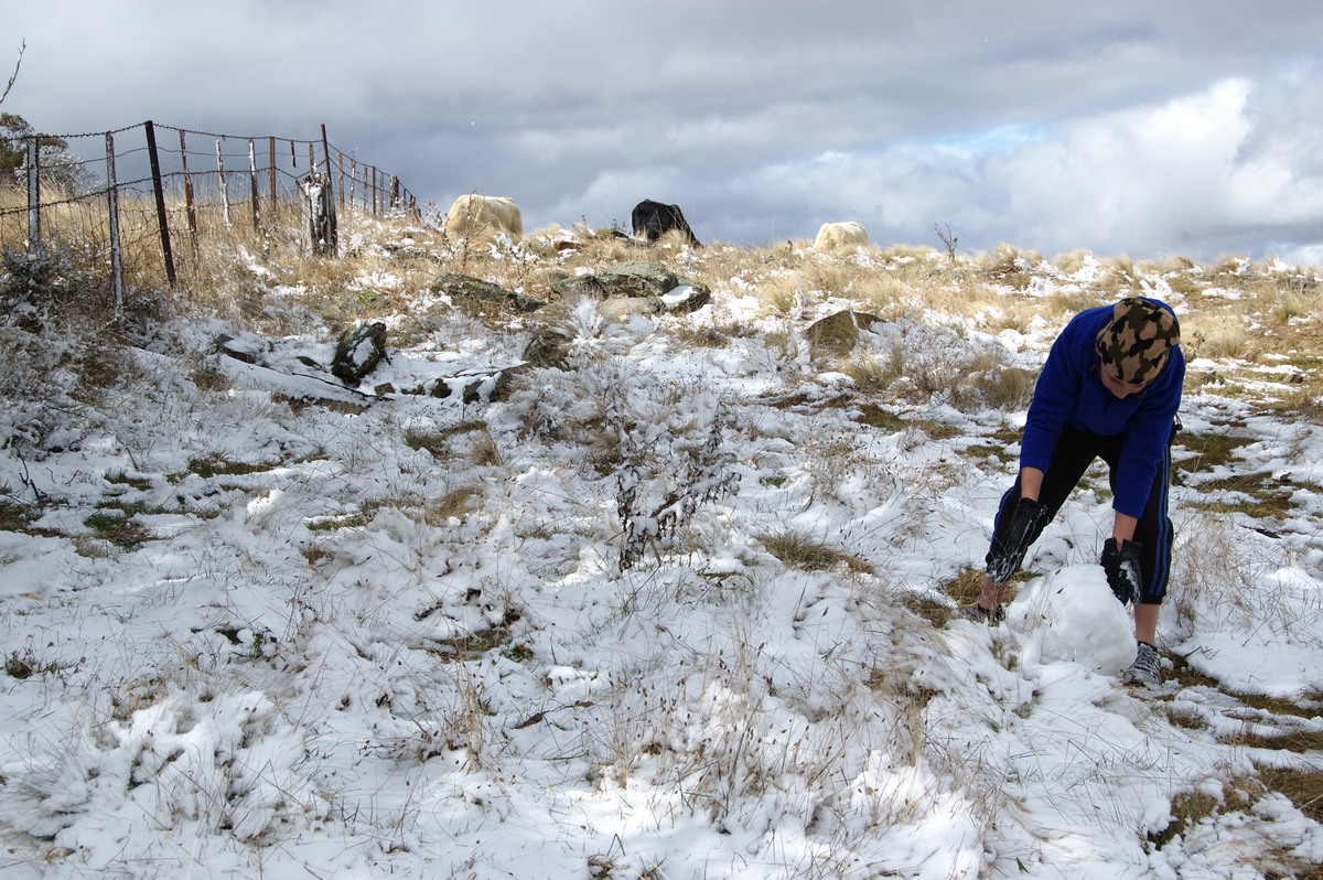 snow snow_pictures : Ben Lomond, NSW   28 July 2008