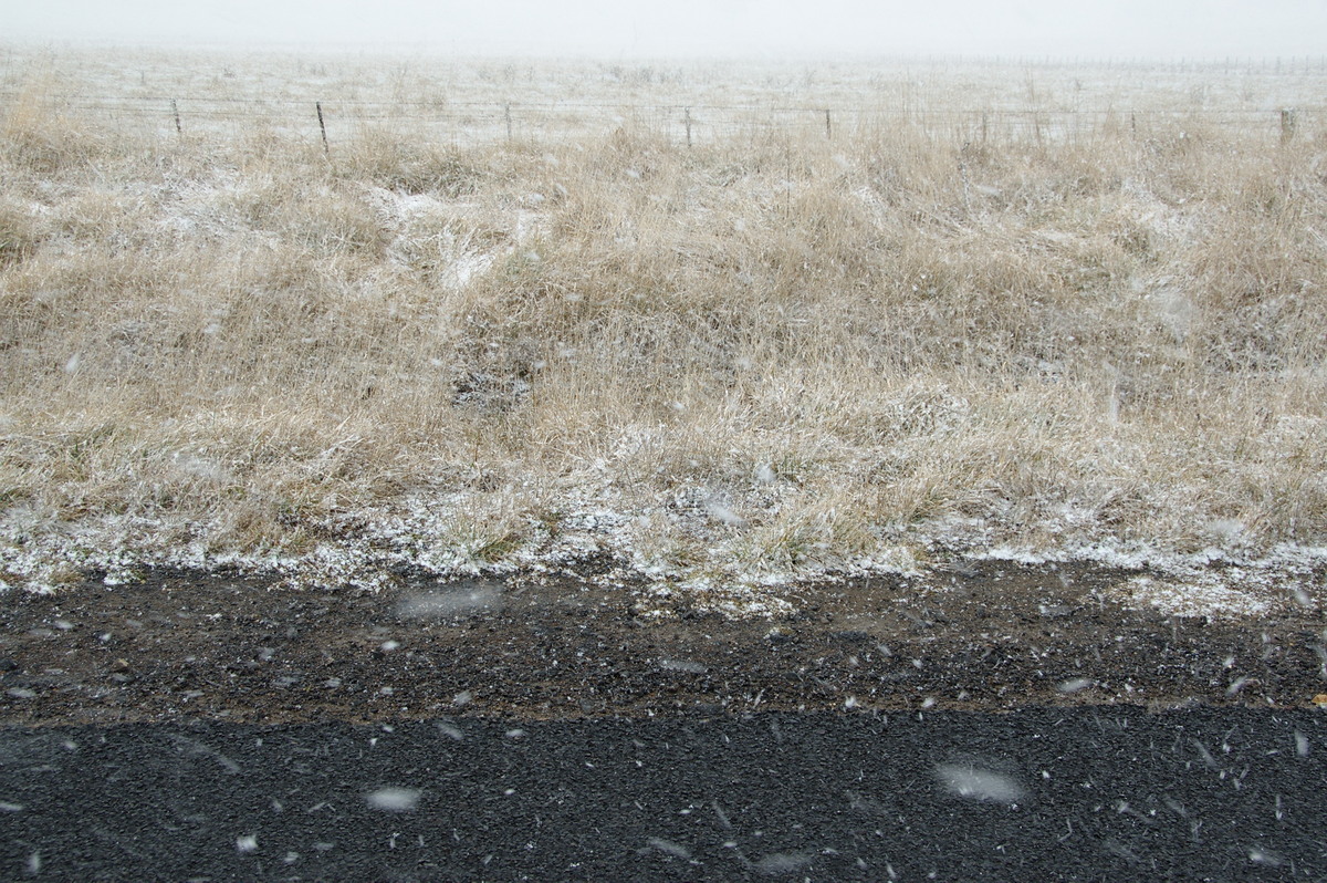 precipitation precipitation_rain : Ben Lomond, NSW   28 July 2008