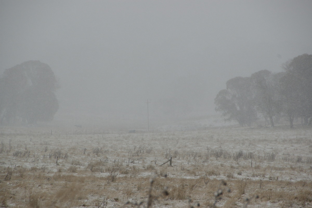 precipitation precipitation_rain : Ben Lomond, NSW   28 July 2008