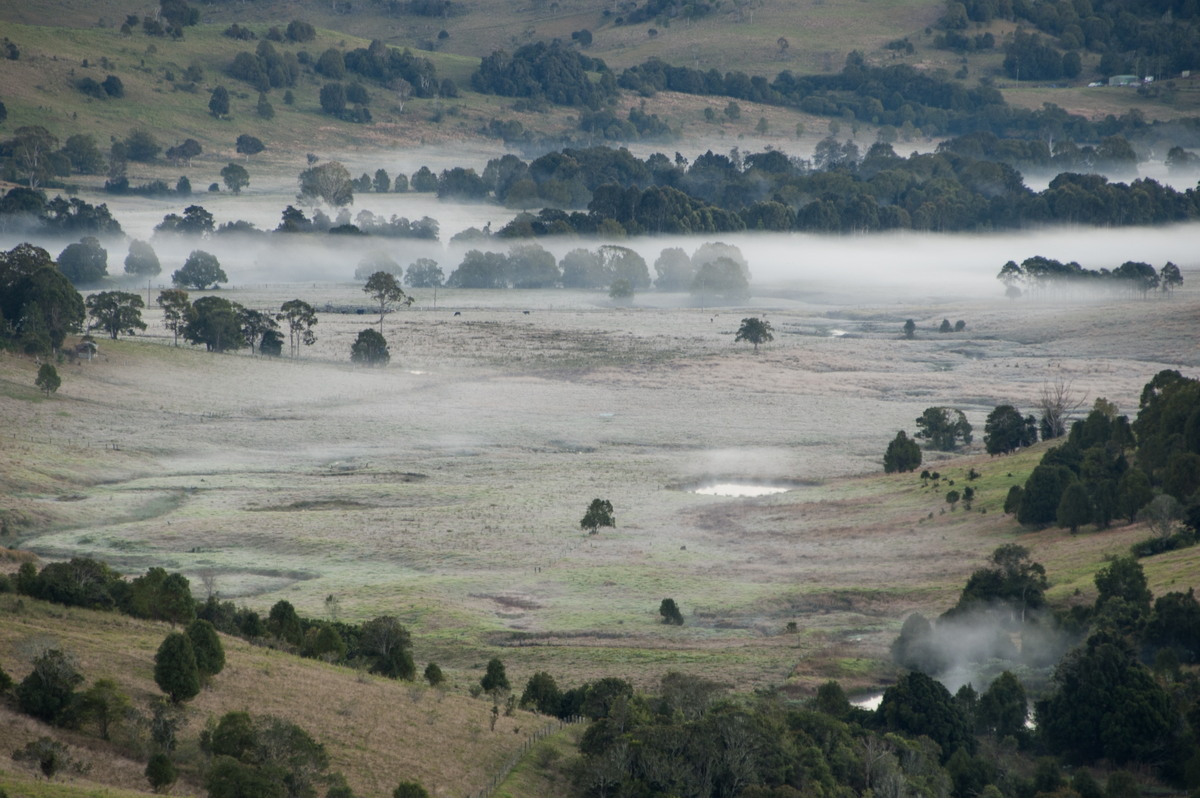 favourites michael_bath : McLeans Ridges, NSW   31 July 2008