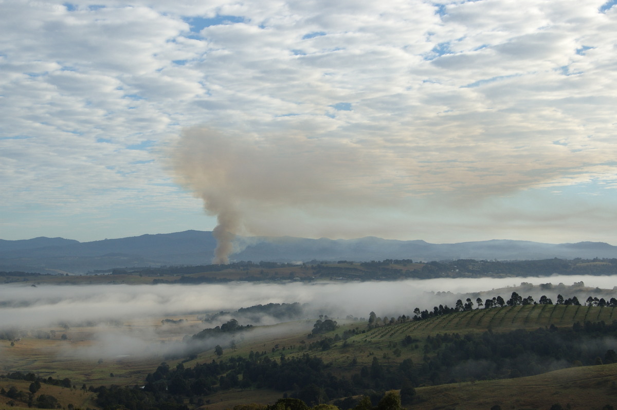 bushfire wild_fire : McLeans Ridges, NSW   4 August 2008