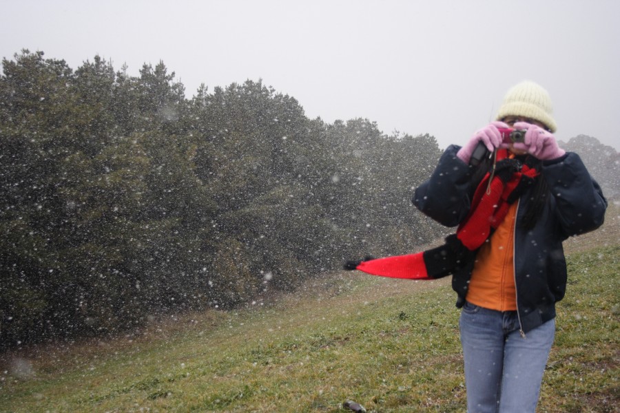 snow snow_pictures : Oberon, NSW   10 August 2008