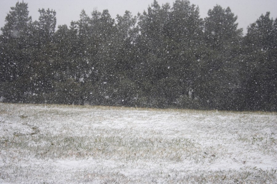 snow snow_pictures : Oberon, NSW   10 August 2008