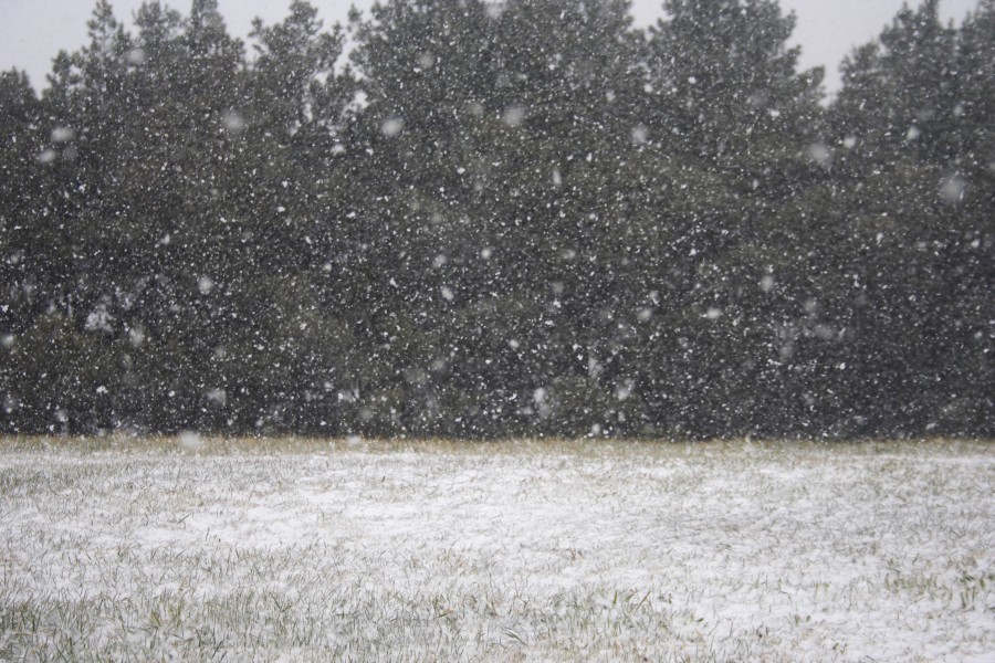 snow snow_pictures : Oberon, NSW   10 August 2008