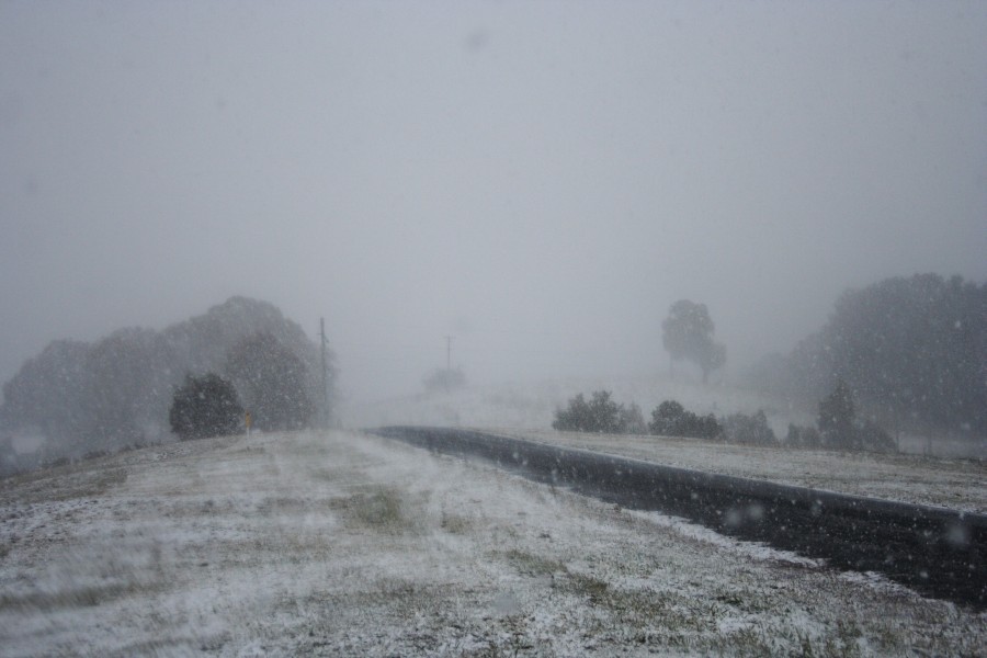 snow snow_pictures : Oberon, NSW   10 August 2008