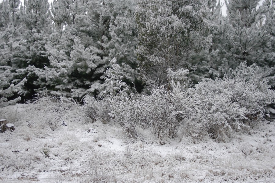 snow snow_pictures : S of Oberon, NSW   10 August 2008