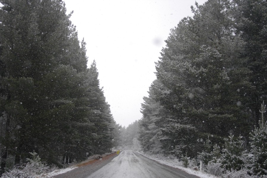 snow snow_pictures : near Shooters Hill, NSW   10 August 2008