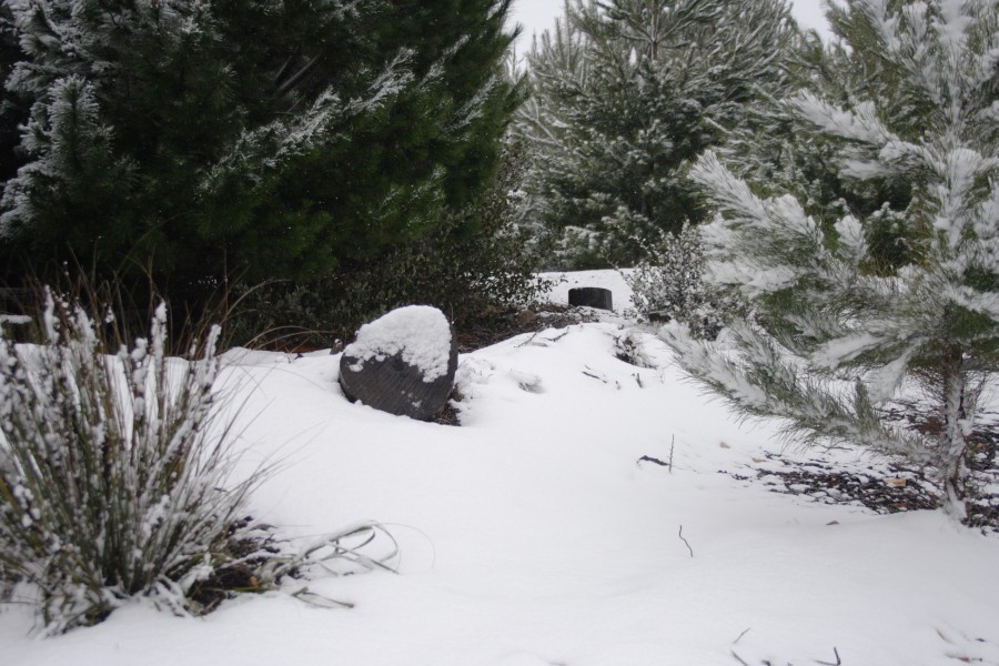 snow snow_pictures : S of Shooters Hill, NSW   10 August 2008