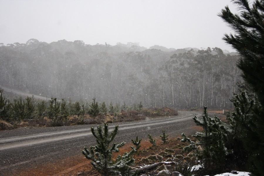 snow snow_pictures : S of Shooters Hill, NSW   10 August 2008