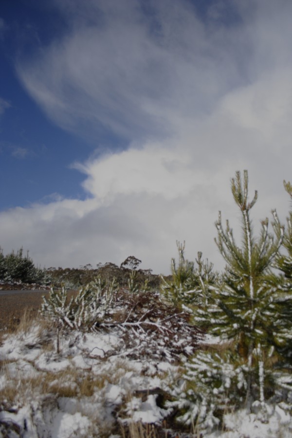 snow snow_pictures : S of Shooters Hill, NSW   10 August 2008