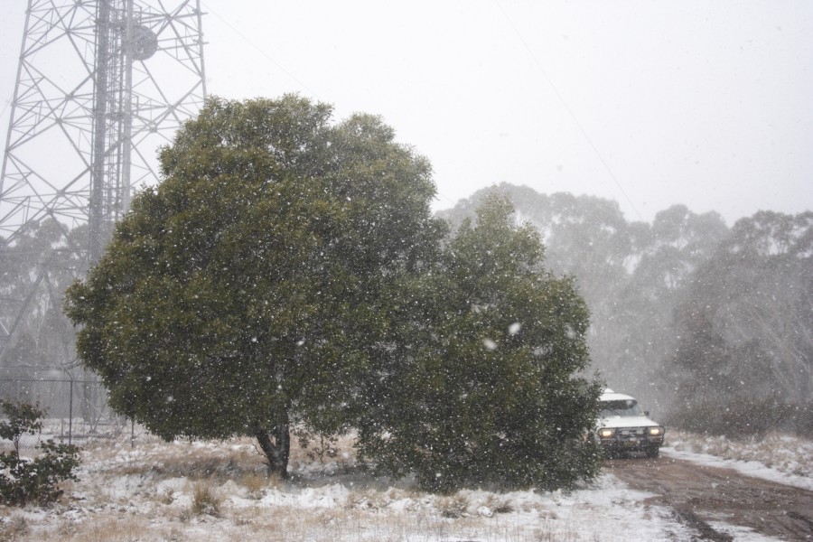 snow snow_pictures : Mt Trickett, NSW   10 August 2008