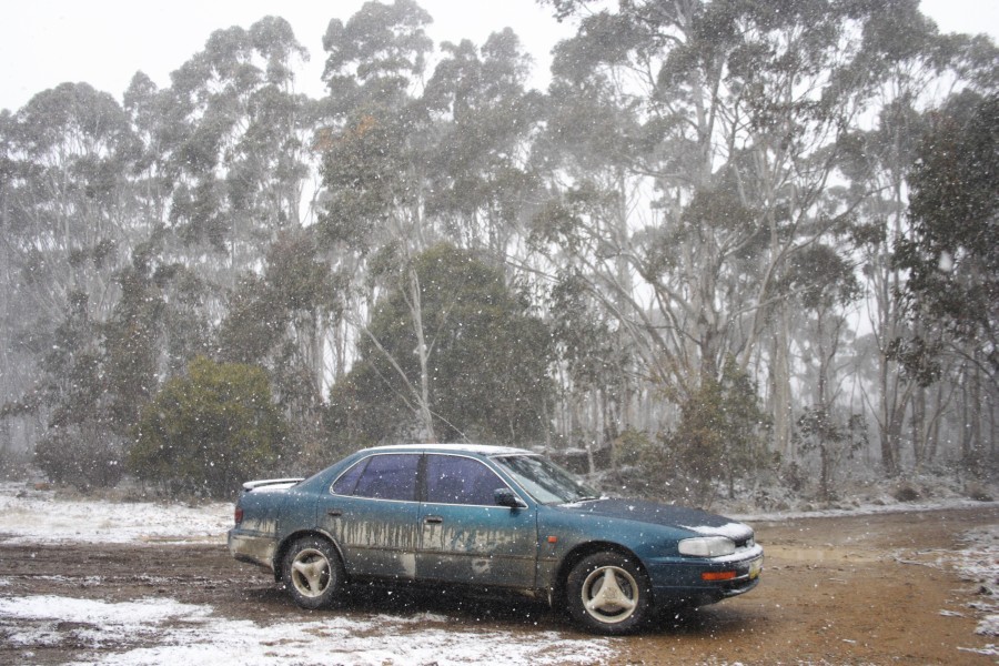 snow snow_pictures : Mt Trickett, NSW   10 August 2008