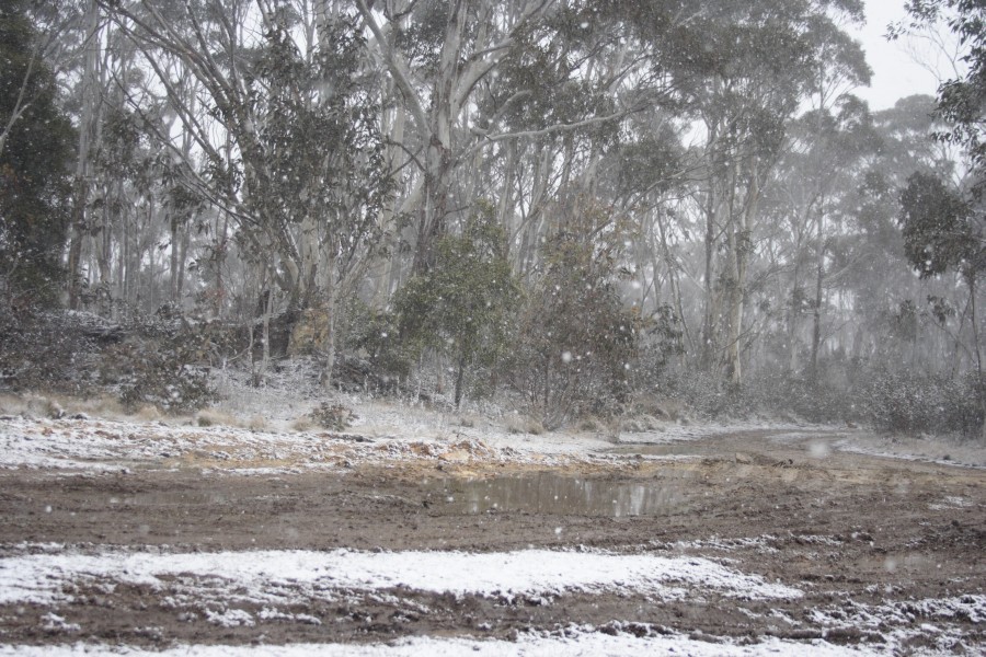 snow snow_pictures : Mt Trickett, NSW   10 August 2008