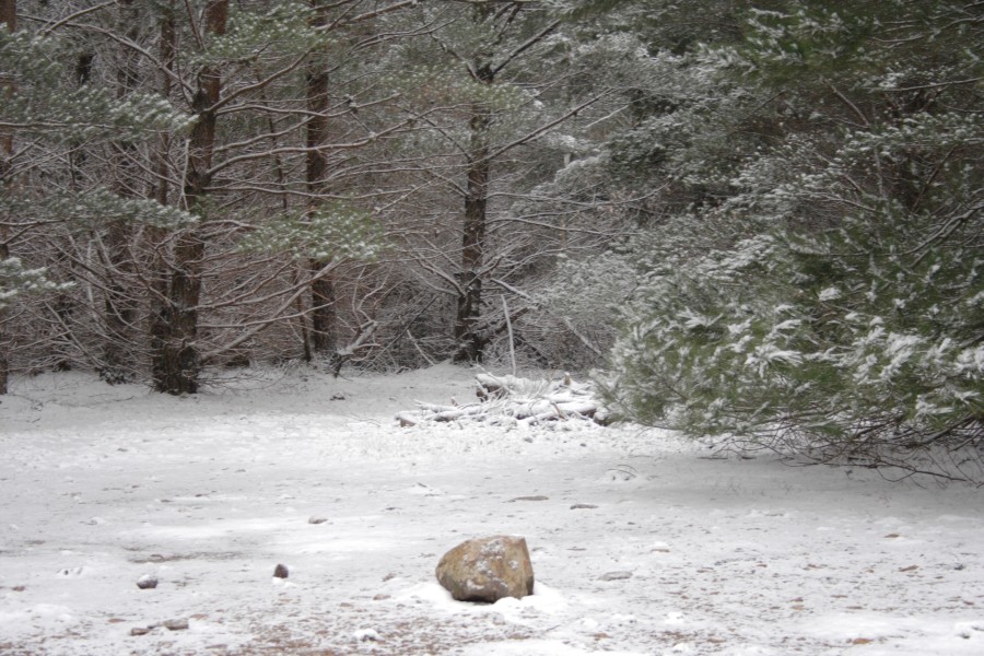 snow snow_pictures : near Mt Trickett, NSW   10 August 2008