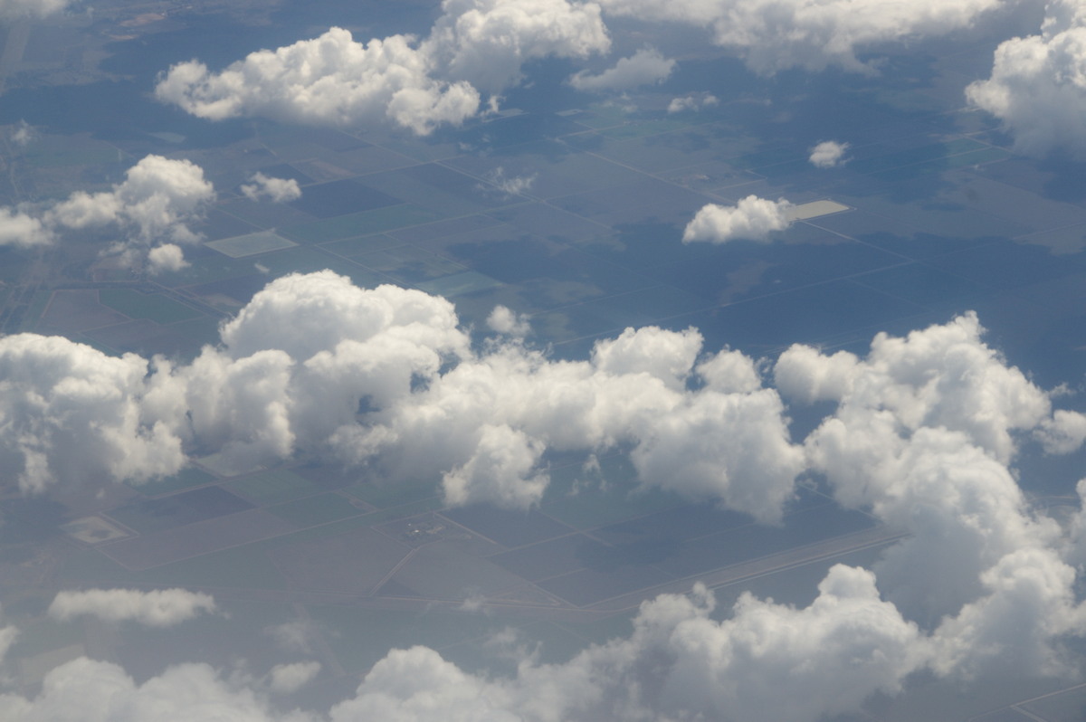 cumulus humilis : Northern NSW   21 August 2008