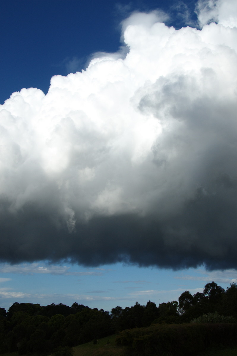 cumulus congestus : McLeans Ridges, NSW   5 September 2008