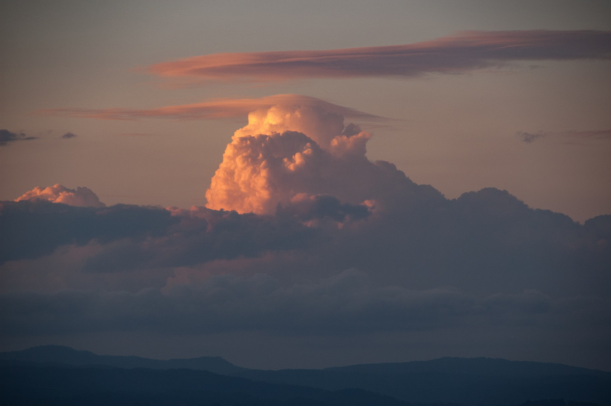 thunderstorm cumulonimbus_calvus : McLeans Ridges, NSW   11 September 2008