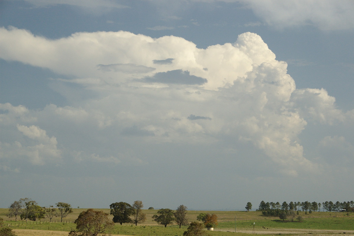 thunderstorm cumulonimbus_incus : near Kyogle, NSW   20 September 2008