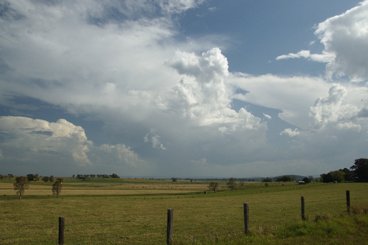 thunderstorm cumulonimbus_incus : near Kyogle, NSW   20 September 2008