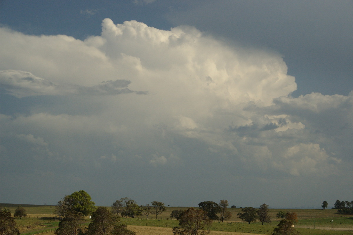 thunderstorm cumulonimbus_incus : near Kyogle, NSW   20 September 2008