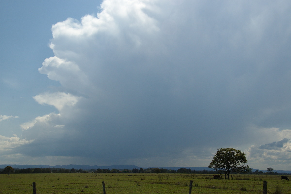 thunderstorm cumulonimbus_incus : N of Casino, NSW   21 September 2008