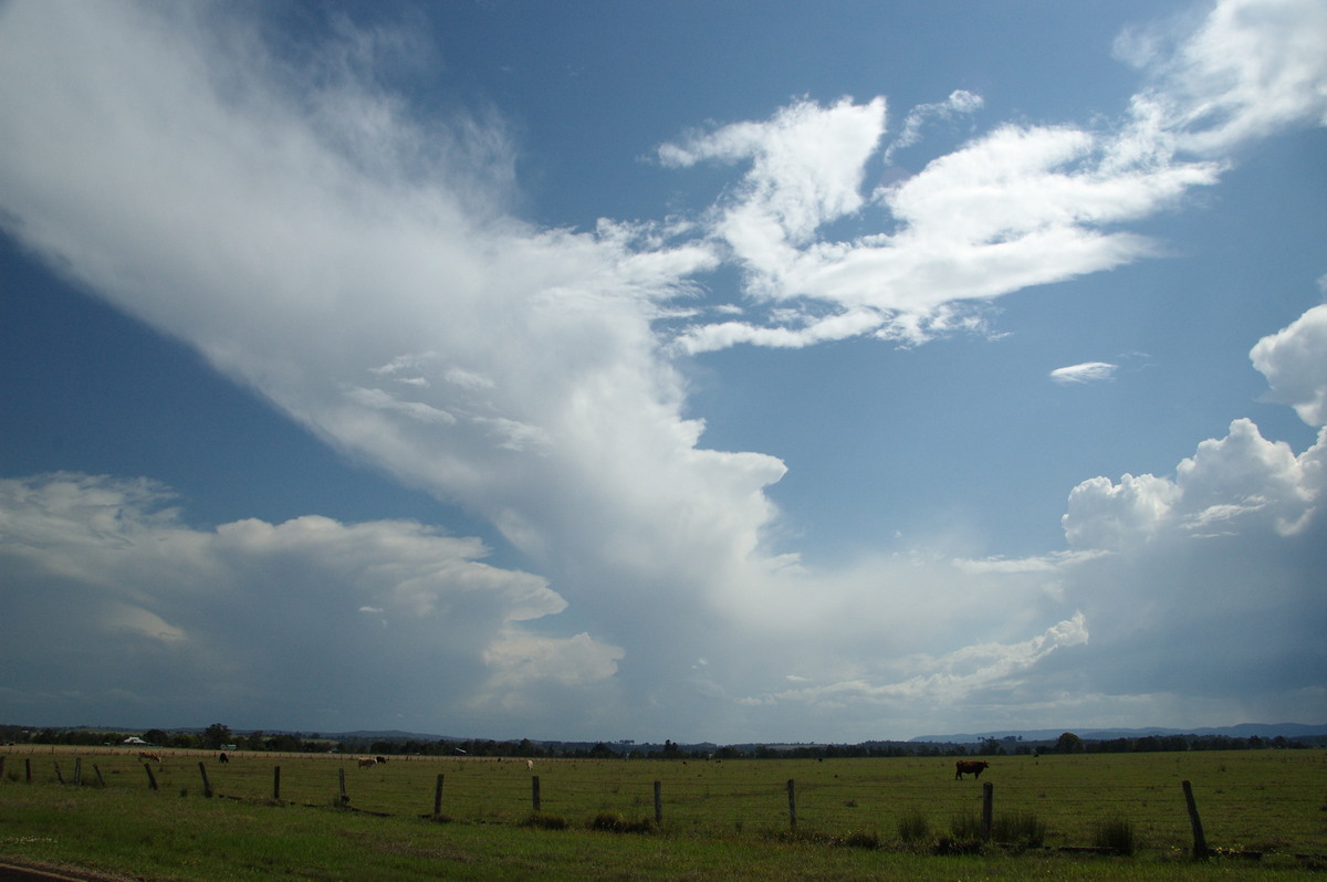 anvil thunderstorm_anvils : N of Casino, NSW   21 September 2008