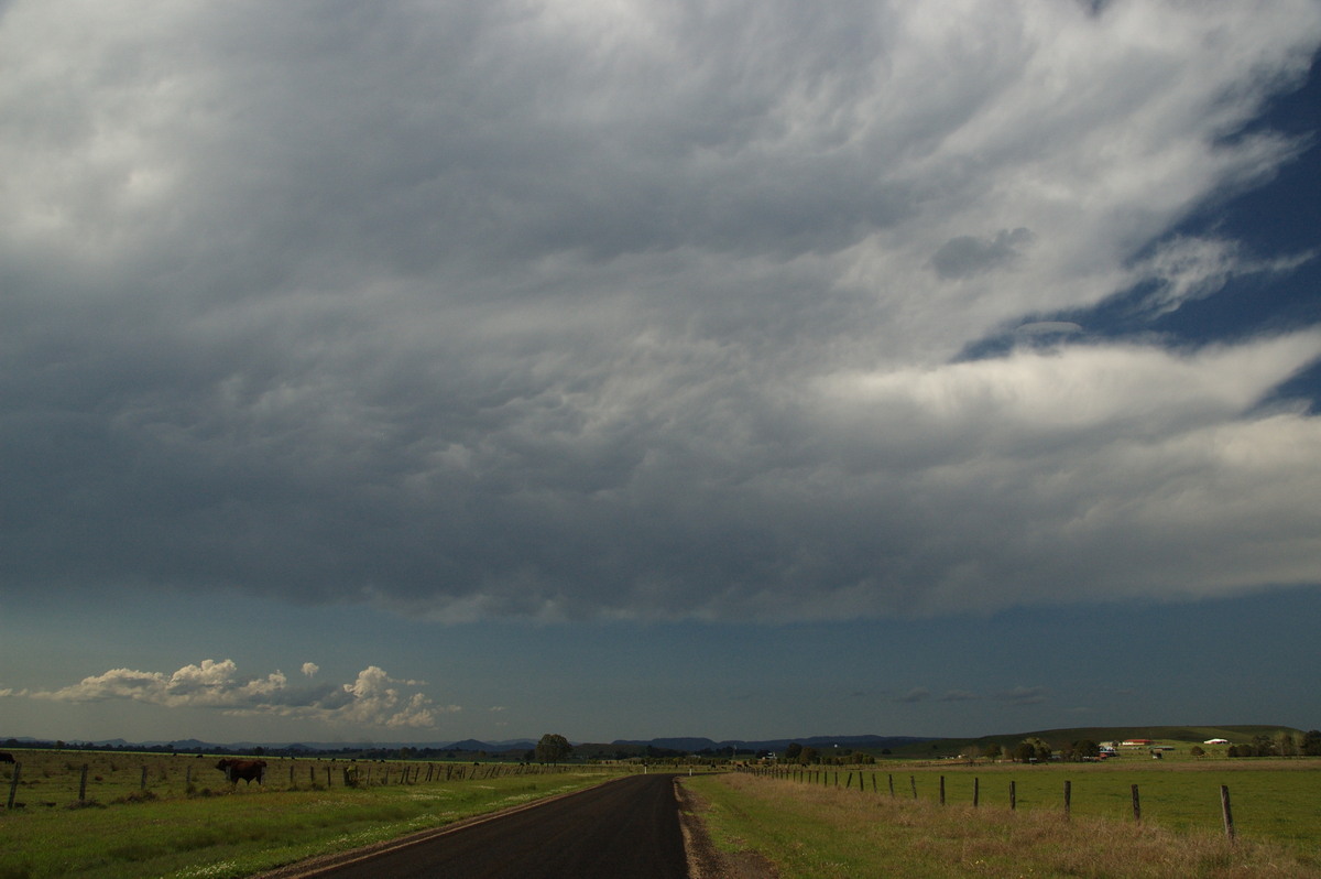 anvil thunderstorm_anvils : N of Casino, NSW   21 September 2008