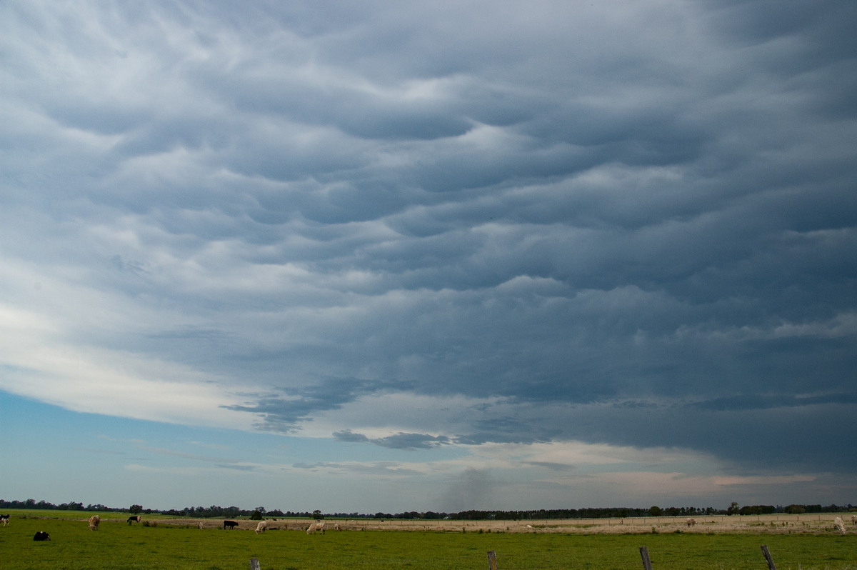 mammatus mammatus_cloud : N of Casino, NSW   21 September 2008