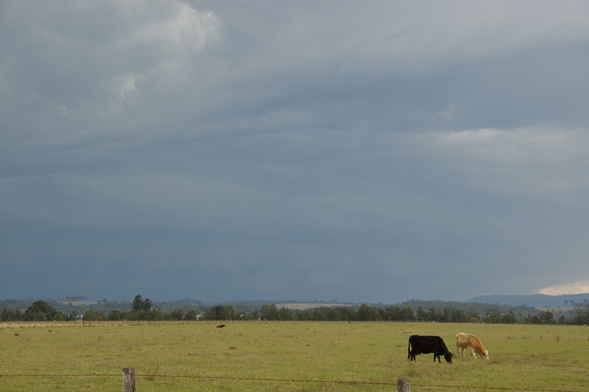 cumulonimbus thunderstorm_base : N of Casino, NSW   21 September 2008