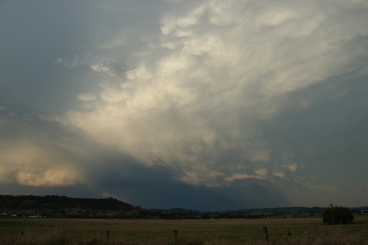 mammatus mammatus_cloud : W of Lismore, NSW   21 September 2008