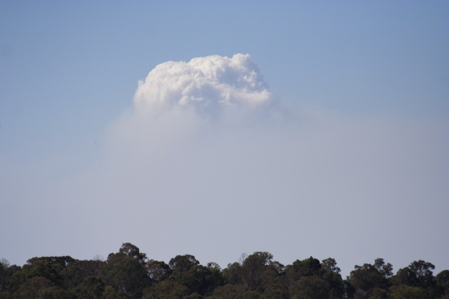 cumulus pyrocumulus : Schofields, NSW   1 October 2008