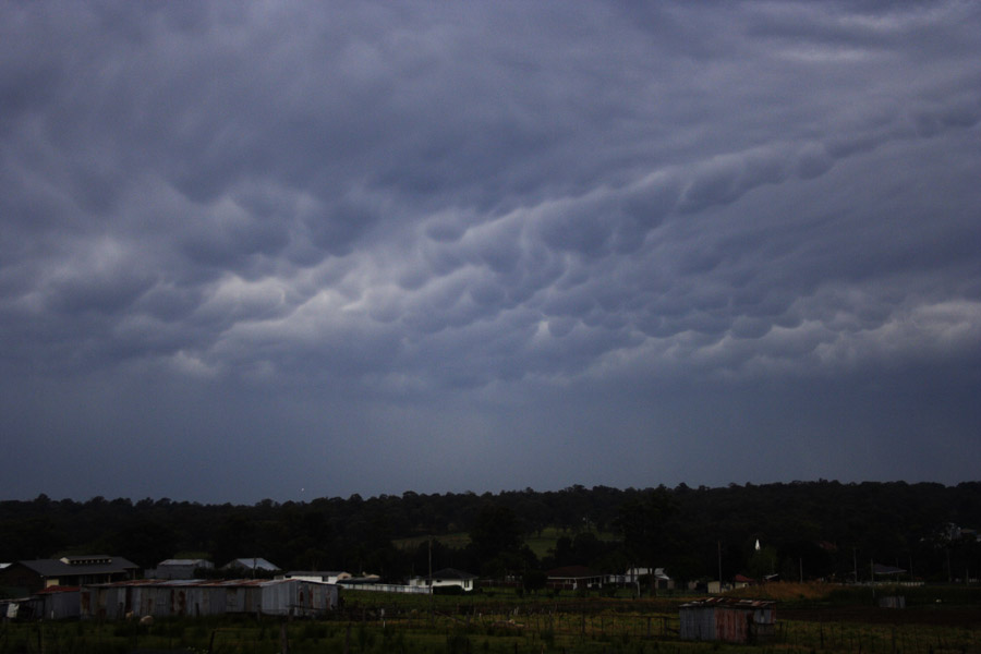 mammatus mammatus_cloud : Schofields, NSW   4 October 2008