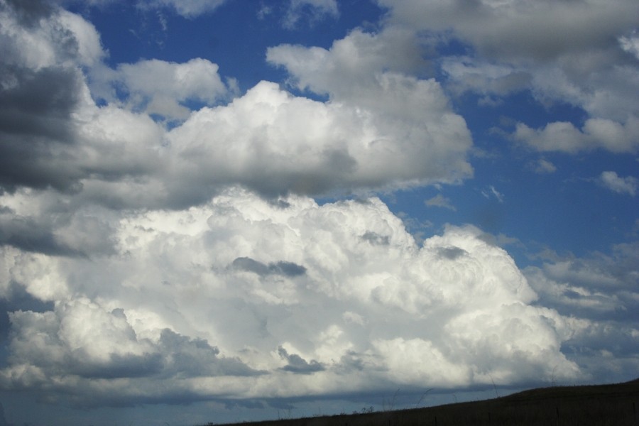 updraft thunderstorm_updrafts : Merriwa, NSW   5 October 2008