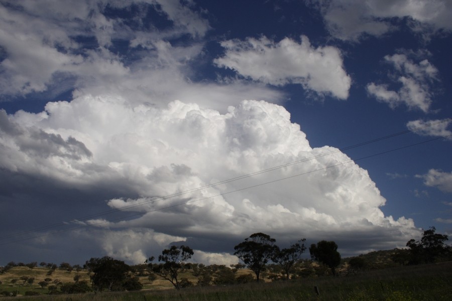 thunderstorm cumulonimbus_calvus : E of Merriwa, NSW   5 October 2008