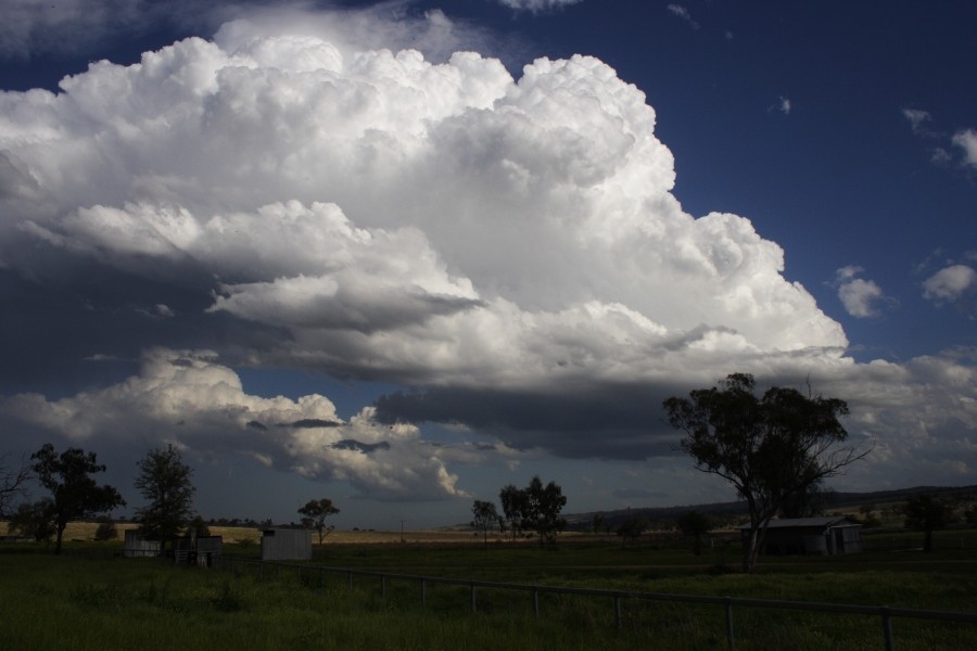 thunderstorm cumulonimbus_calvus : between Scone and Merriwa, NSW   5 October 2008