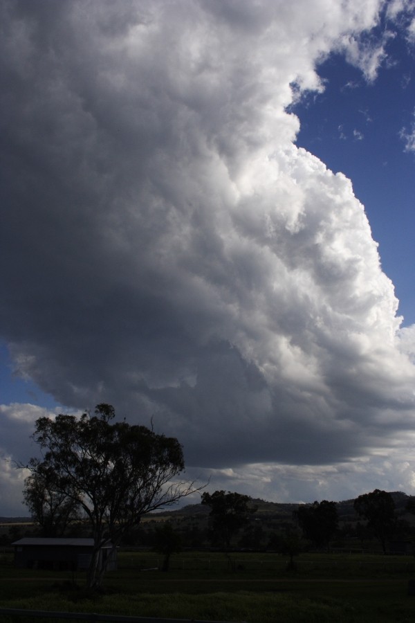 thunderstorm cumulonimbus_calvus : between Scone and Merriwa, NSW   5 October 2008