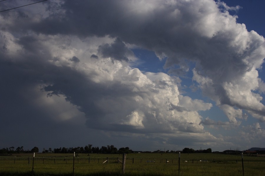 pileus pileus_cap_cloud : Scone, NSW   5 October 2008