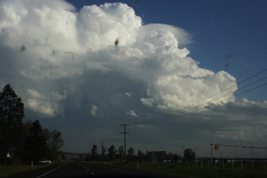 thunderstorm cumulonimbus_calvus : near Aberdeen, NSW   5 October 2008