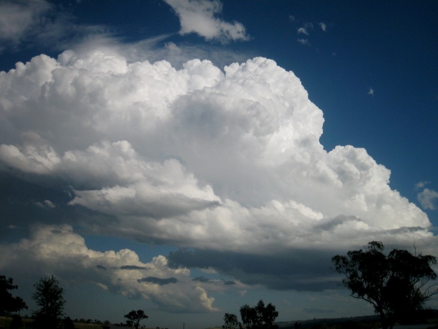 updraft thunderstorm_updrafts : between Scone and Merriwa, NSW   5 October 2008