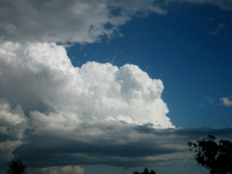 updraft thunderstorm_updrafts : between Scone and Merriwa, NSW   5 October 2008