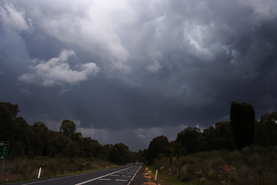 raincascade precipitation_cascade : N of Ulan, NSW   10 October 2008