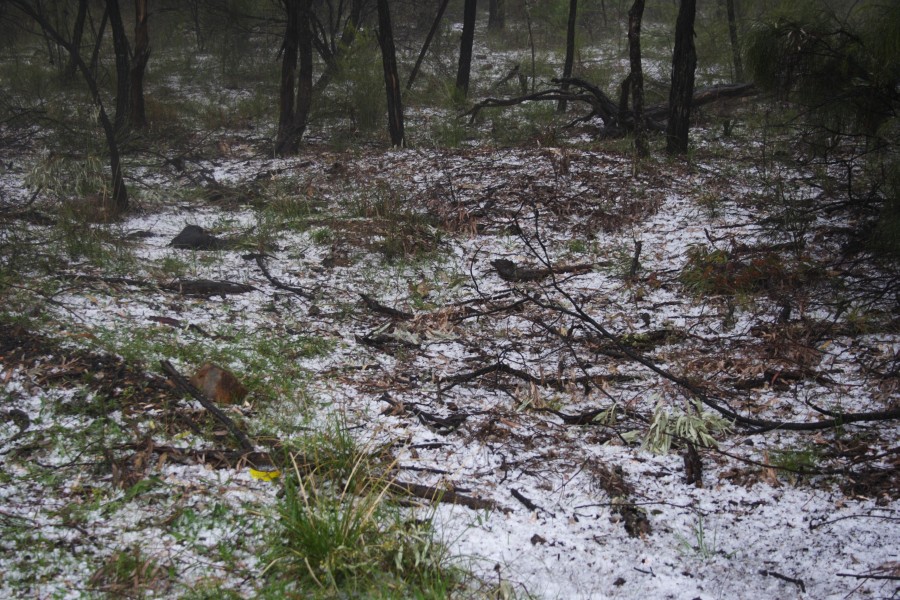 hailstones hail_stones : NE of Mudgee, NSW   10 October 2008