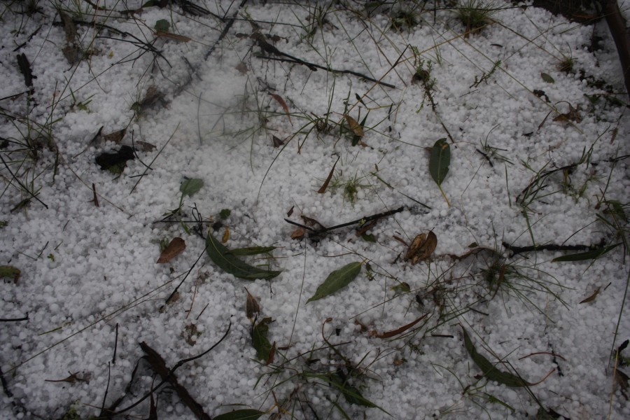 hailstones hail_stones : NE of Mudgee, NSW   10 October 2008