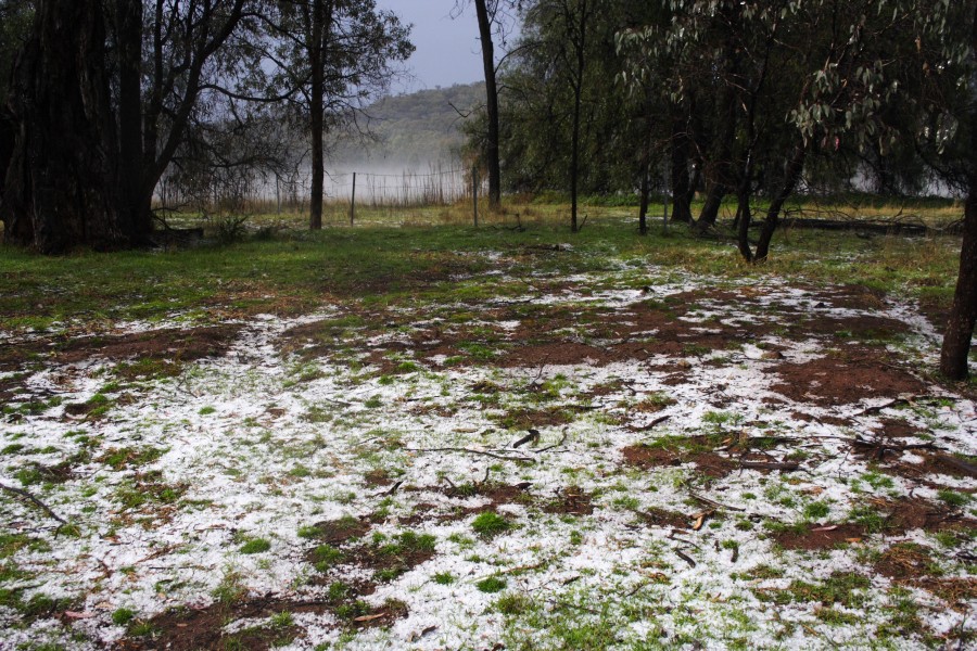 hailstones hail_stones : NE of Mudgee, NSW   10 October 2008