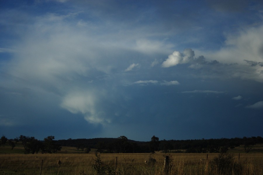 mammatus mammatus_cloud : E of Coolah, NSW   10 October 2008