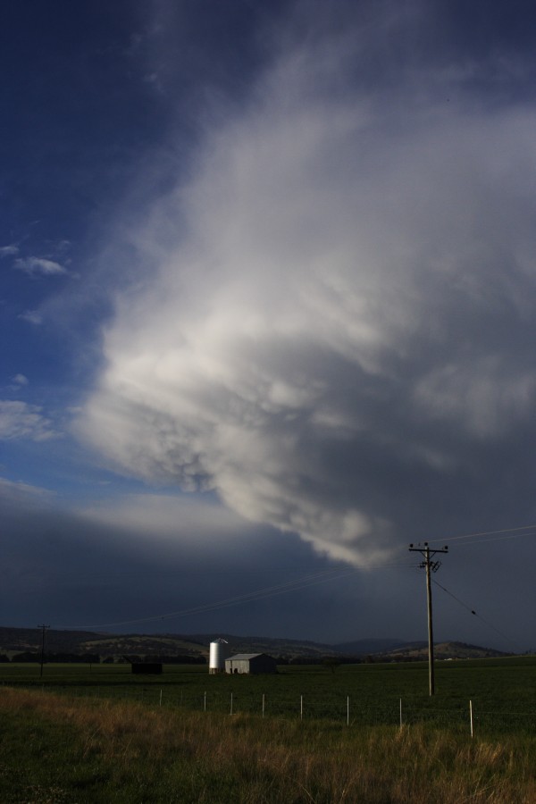 anvil thunderstorm_anvils : E of Coolah, NSW   10 October 2008