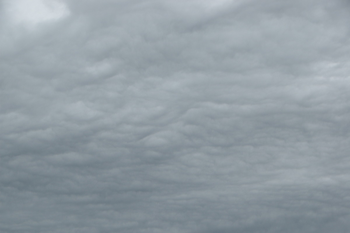 altostratus altostratus_cloud : McLeans Ridges, NSW   10 October 2008