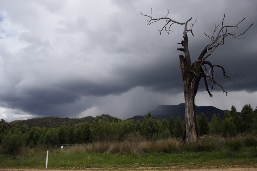 cumulonimbus thunderstorm_base : Coonabarabran, NSW   11 October 2008