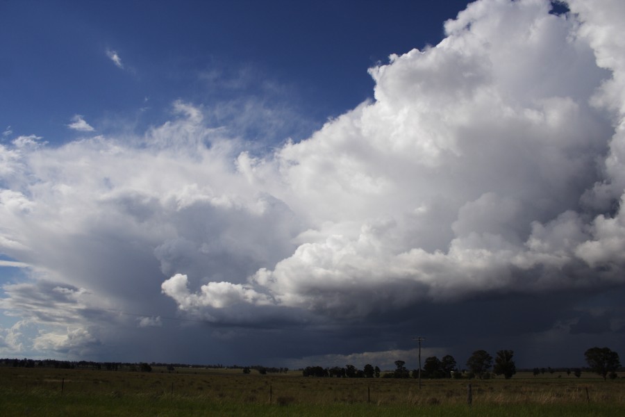 thunderstorm cumulonimbus_calvus : Between Gilgandra and Dubbo, NSW   11 October 2008