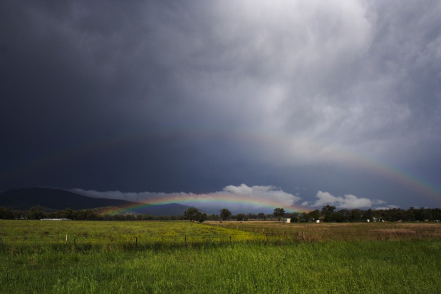 favourites jimmy_deguara : N of Tamworth, NSW   14 October 2008